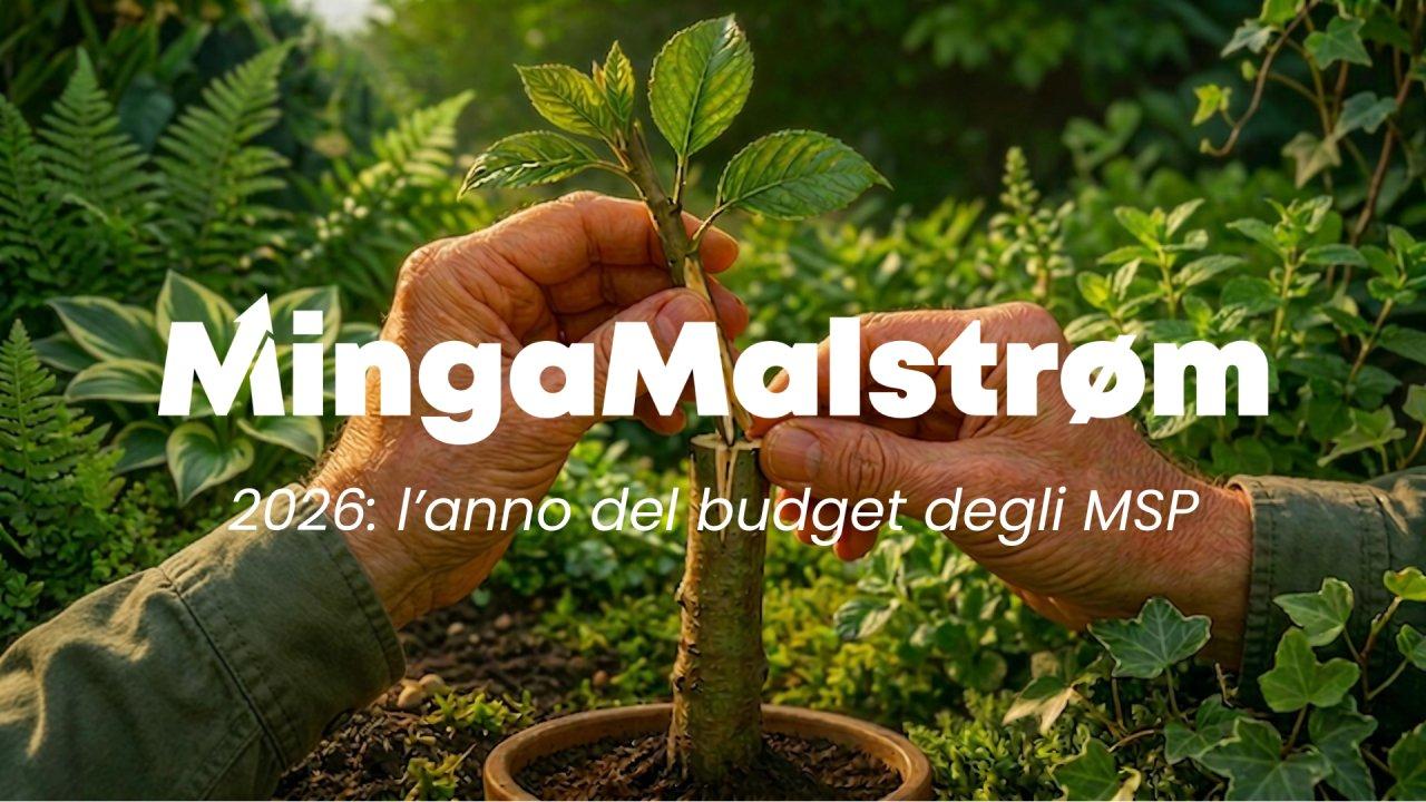 MingaMalstrøm - 2026: l’anno del budget degli MSP